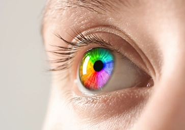 Görsel-Uzamsal İşleme